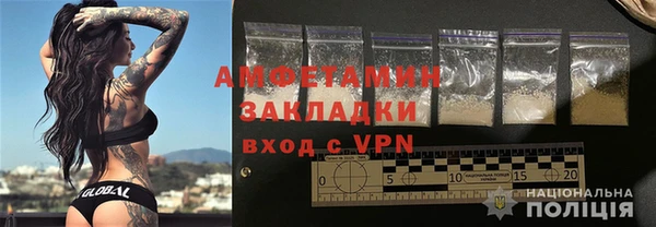 шишки Белоозёрский