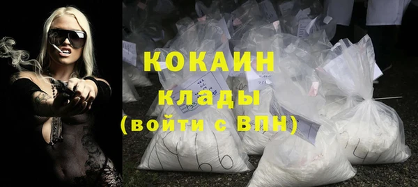 шишки Белоозёрский