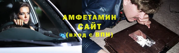 шишки Белоозёрский