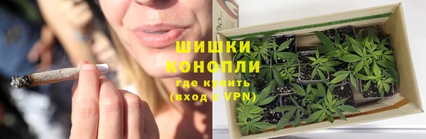 шишки Белоозёрский