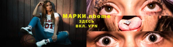 шишки Белоозёрский