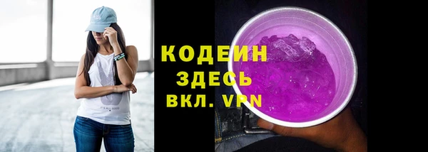 шишки Белоозёрский
