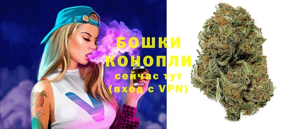 шишки Белоозёрский