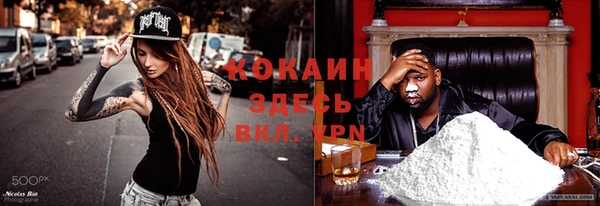 гидропоника Рославль